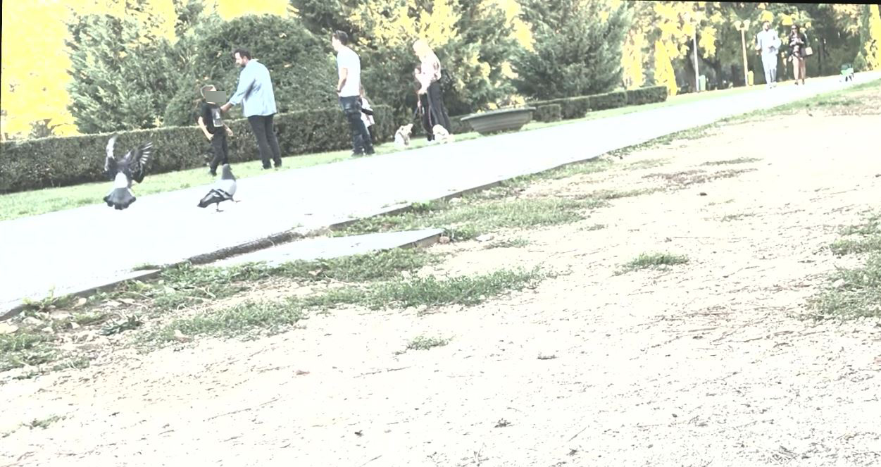 Cătălin Măruță, la plimbare prin parc cu familia, plus fotograf personal