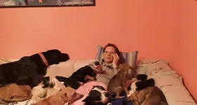 Galerie foto - poza 3