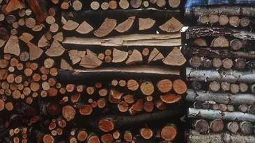 O fetita de patru ani a fost strivita de o stiva de lemne!