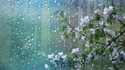 Un ciclon va traversa România. Urmează ploi și temperaturi scăzute de săptămâna viitoare până la sfârșitul lunii