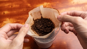 Ce poți face cu zațul de cafea vechi. Trucuri utile pentru casă și grădină