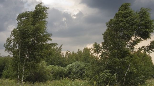 METEO 7 NOIEMBRIE! Înnorările vor persista în toată ţara