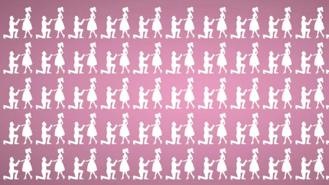 Test de observaţie | Găseşte perechea diferită în doar 10 secunde, dacă vrei să-ţi măsori capacitatea intelectuală