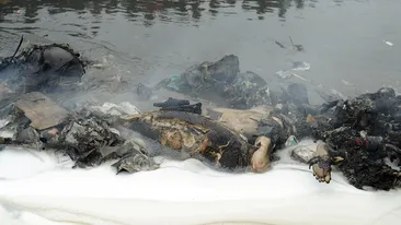 Au murit carbonizati: imagini cutremuratoare de la tragedia din Kenya