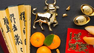 Horoscop chinezesc azi, 17 aprilie 2026. Ziua în care Câinele pune banii la muncă și câștigă: fereastra financiară a anului se deschide astăzi