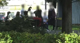 Galerie foto - poza 4