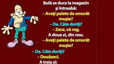 BANC | Bulă se duce la magazin şi întreabă: Aveţi palete de omorât muşte?