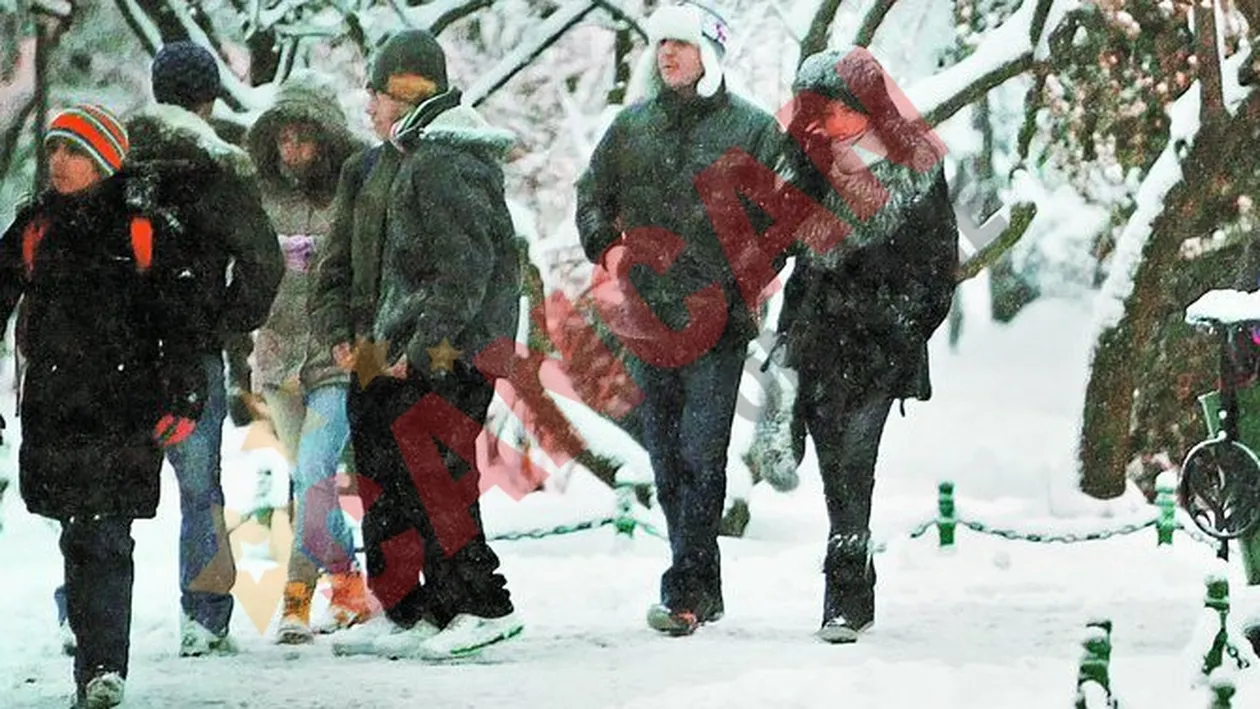 Ianis Zicu si Lavinia, ex-Spicy, romantici prin ninsoare