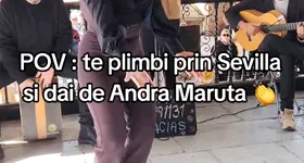 Galerie foto - poza 2