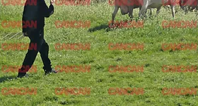 Galerie foto - poza 3