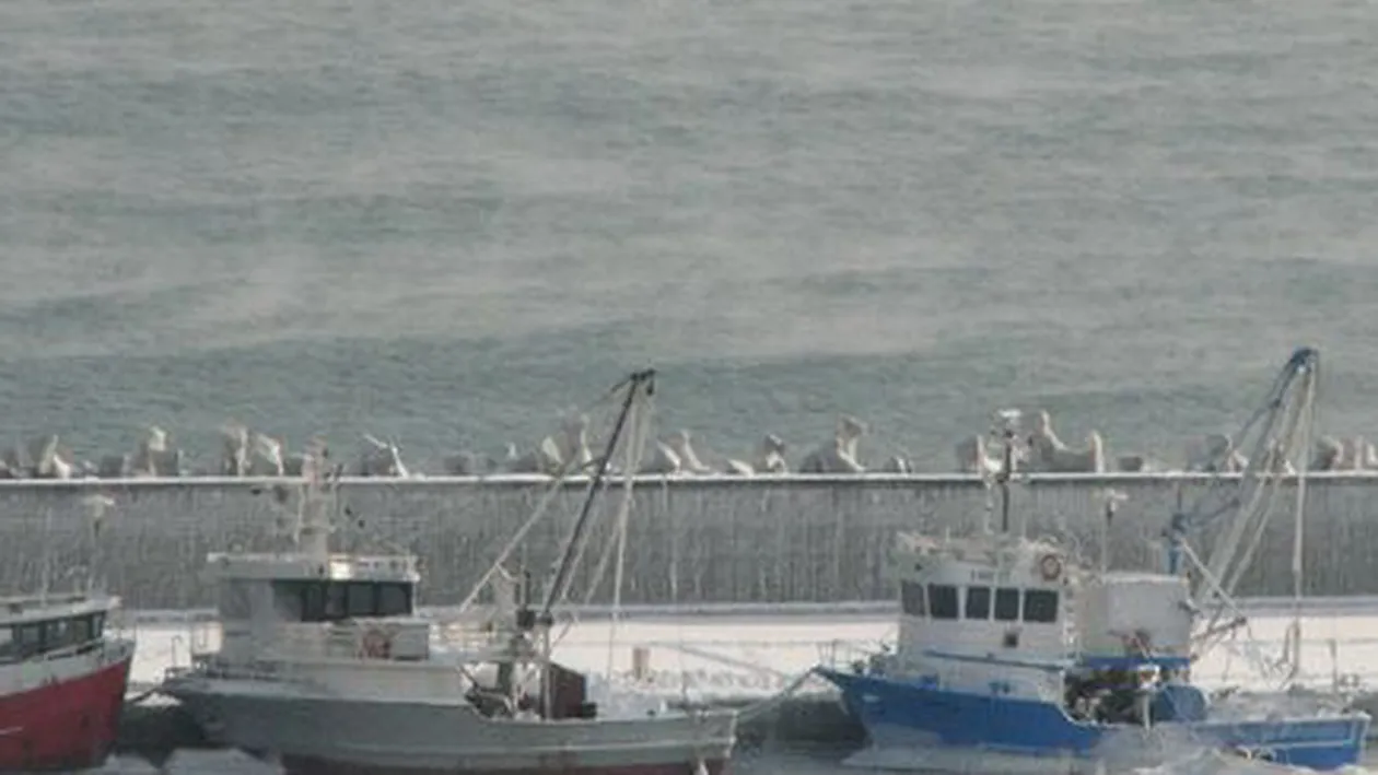 Acest fenomen spectaculos a fost filmat pe Marea Neagră. Apa părea că fierbe, chit că afară erau –14 grade Celsius!