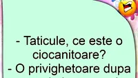 BANCUL ZILEI | Tăticule, ce este o ciocănitoare?