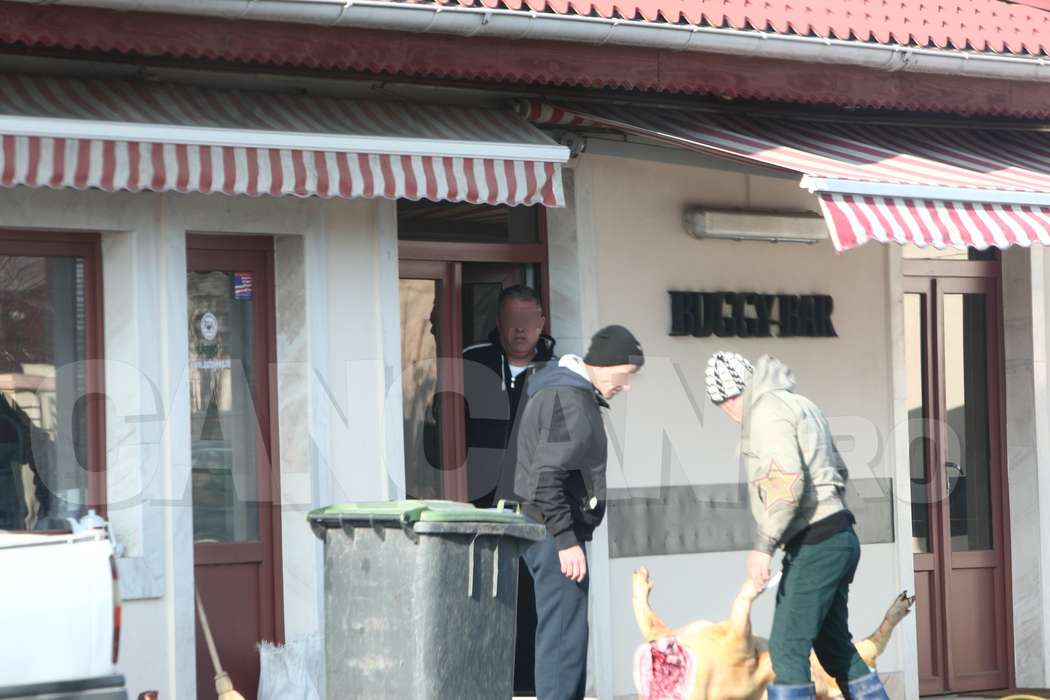 Cum s-a tăiat porcul la barul „Buggy”, de lângă casa lui Gigi Becali. Localul a fost făcut celebru de către verii Becali