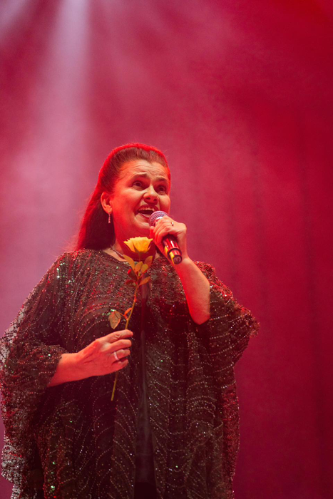 S-au dezlănțuit ultrașii din showbiz! Dan Bittman, Jean de la Craiova, Felicia Filip și Aurelian Temișan se duelează ca-n peluză: „Ori ai suflet de câine, te implici, ori, dacă nu, du-te în …..”