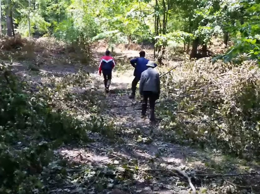 Primarul a fost atacat de hoţii de lemne, iar apoi soţia şi tatăl i-au murit otrăviţi cu antigel