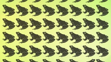 Test de inteligență | Care broască este diferită de toate celelalte?