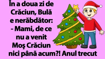 BANC | În a doua zi de Crăciun, Bulă e nerăbdător: Mami, de ce nu a venit Moş Crăciun nici până acum?!