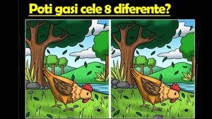 Test de inteligență | Doar geniile pot găsi cele 8 diferențe dintre cele 2 imagini