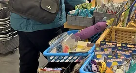 Galerie foto - poza 1