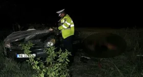 Galerie foto - poza 4