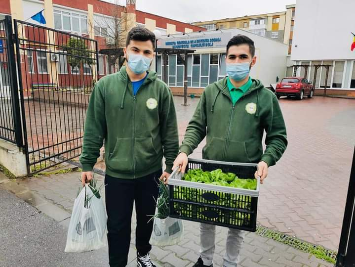 Legumele pe care le livrează studenții sunt cultivate tot de ei