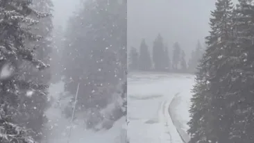 Locul din România unde a nins ca în poveşti. Iarnă la mijloc de martie. VIDEO