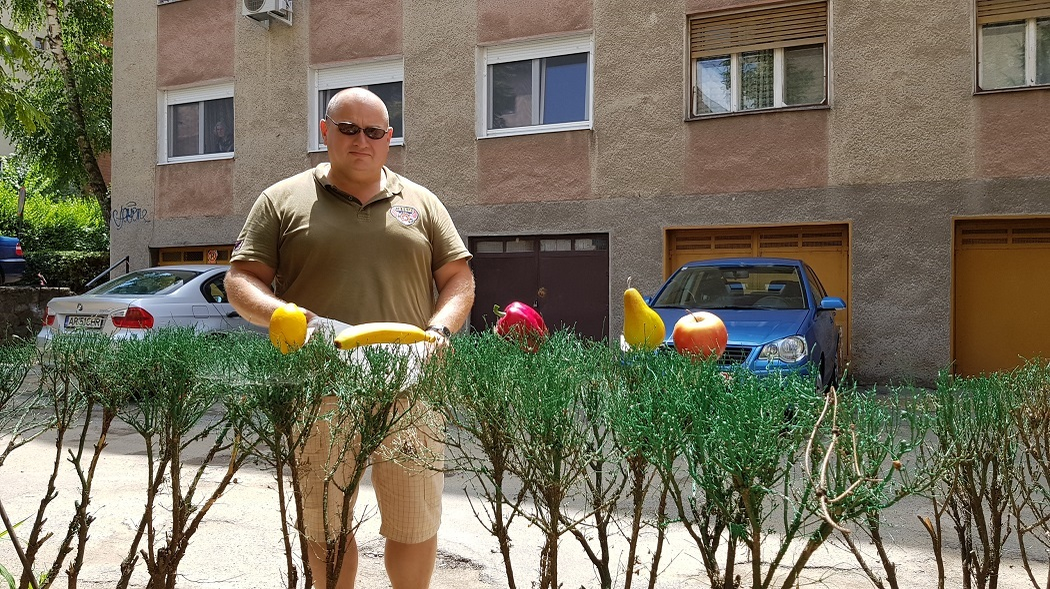 Trecătorii au "plantat" fructe în gardul vopsit