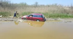 Galerie foto - poza 1