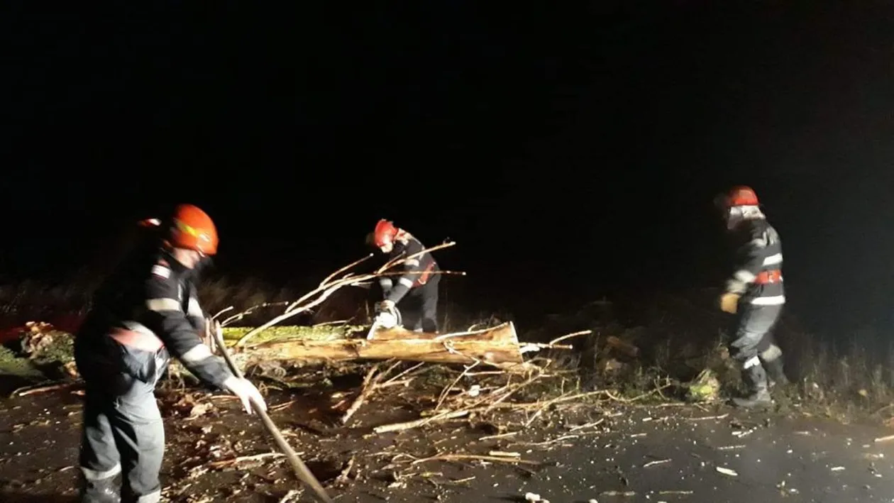 Vijeliile au făcut ravagii în Teleorman. Copaci căzuți peste mașini și peste firele de electricitate