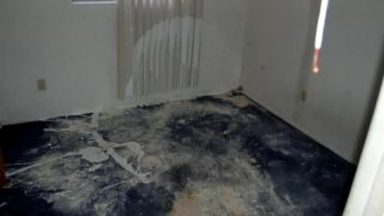 O familie de romani din Canada este in permanenta hartuita de un grup de adolescenti