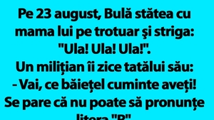 BANC | Pe 23 august, Bulă stătea cu mama lui pe trotuar şi striga: "Ula! Ula! Ula!"