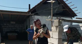 Galerie foto - poza 1