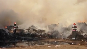 Pericol de explozie la Chitila! Incendiu masiv lângă o fostă groapă de gunoi