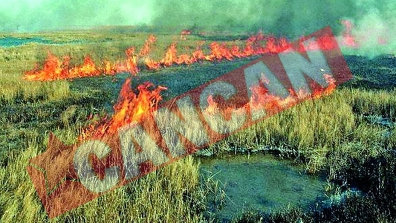 Tulcea, amenintata de flacari