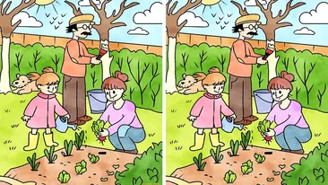 TEST IQ | Găsește cele 5 diferențe dintre aceste 2 imagini. Geniile le descoperă în doar 30 de secunde!