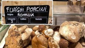 Cu cât se vinde kilogramul de hribi românești, într-un supermarket din Italia. Imagini realizate de un român uimit