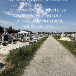 Imagine Galerie #2