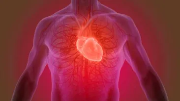 Un pacient s-a ales cu două inimi funcționale după o operație de transplant. Tehnica chirurgicală este foarte rară!