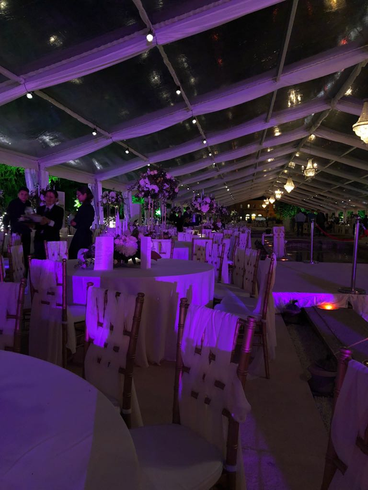 Evenimentul a avut loc la Palatul Snagov, într-un decor de vis