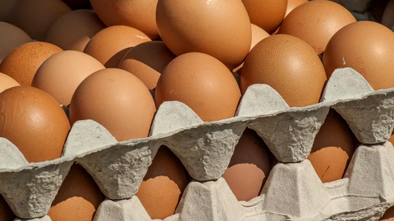 O femeie din Piatra Neamţ a cumpărat un carton de ouă dintr-un mare lanţ de magazine! Şocul pe care l-a avut femeia când a ajuns acasă cu ele. ”Aşa ne îmbolnăvim...”