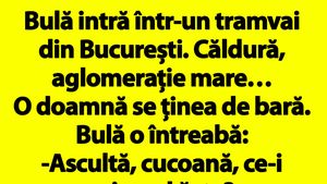 BANCUL ZILEI | Bulă intră într-un tramvai din București