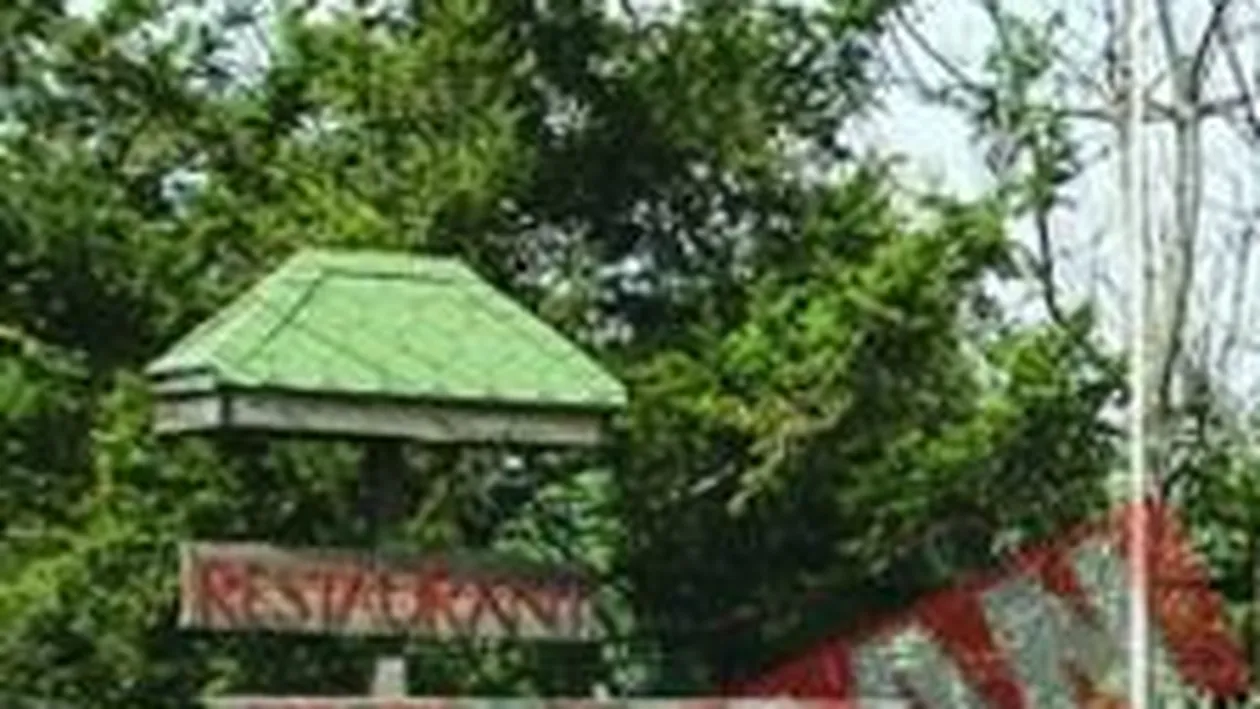 Nastase a chefuit la Golden Blitz