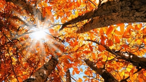 METEO 12 OCTOMBRIE: Vremea se încălzeşte în toată ţara