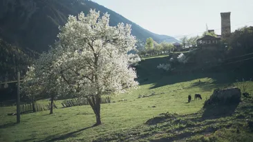 Prognoza meteo azi, 11 martie 2026. Primăvara începe să se simtă: temperaturi de până la 12°C în România