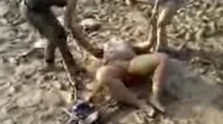 VIDEO O femeie s-a imbatat praf si s-a tarat prin noroi ca un porc!