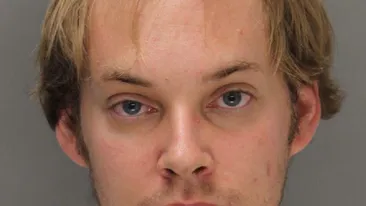 Gestul INFIORĂTOR pe care l-a facut timp de un an! Ce i-a făcut acest bărbat unei pisici, după ce se deghiza in caine