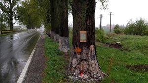 Ce a apărut la locul unde a murit Dan Condrea! Mesaje oculte şi obiecte religioase asezate pe copac