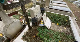 Galerie foto - poza 2