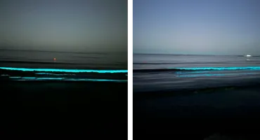 Valuri luminoase la Marea Neagră! Ce a provocat fenomenul special