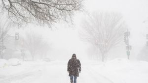 Avertizarea ANM de ninsori, vânt şi frig, a intrat în vigoare! Cât ţine vremea rea şi unde ninge abundent 